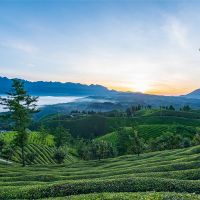 500萬噸/年！湖北儲量約1.12億噸建筑用花崗巖礦擬掛牌出讓